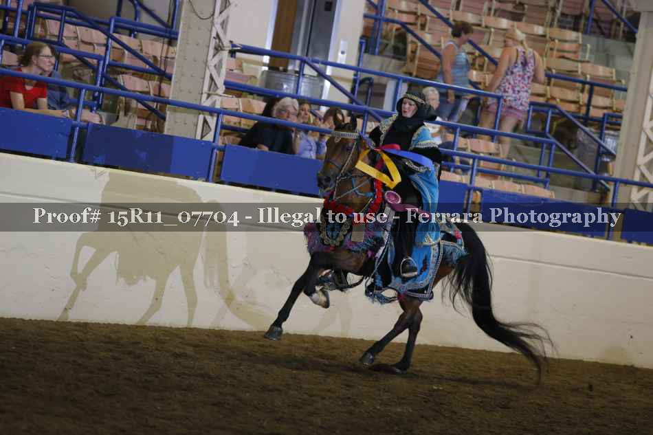 Proof Number 15R11_07704