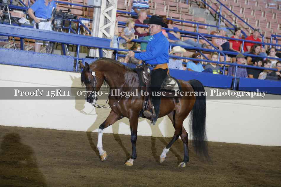 Proof Number 15R11_07730