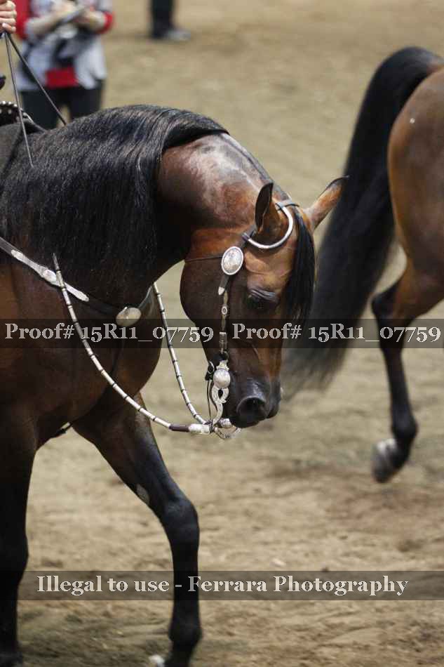 Proof Number 15R11_07759