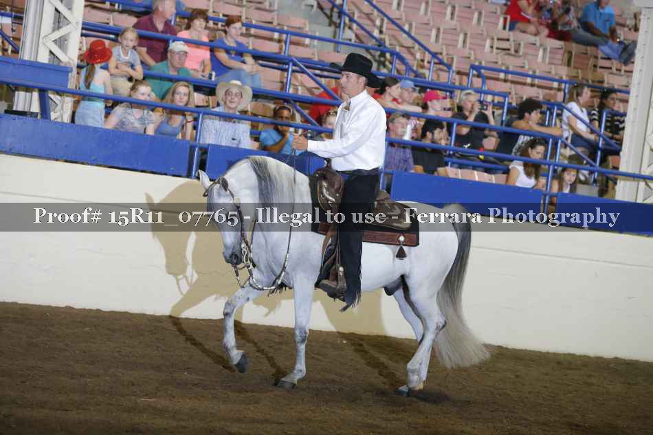 Proof Number 15R11_07765