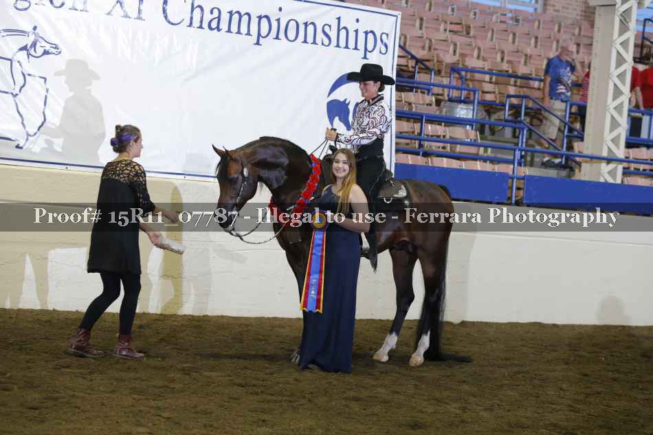 Proof Number 15R11_07787