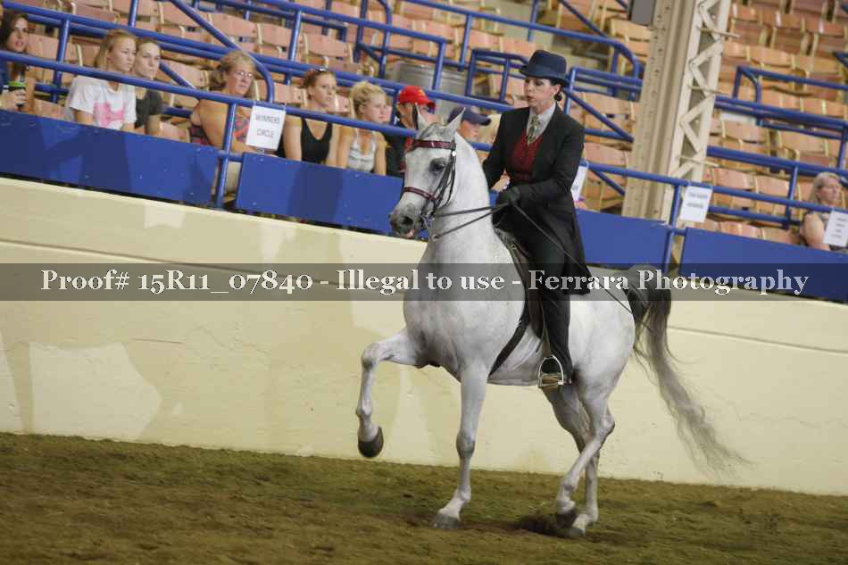 Proof Number 15R11_07840