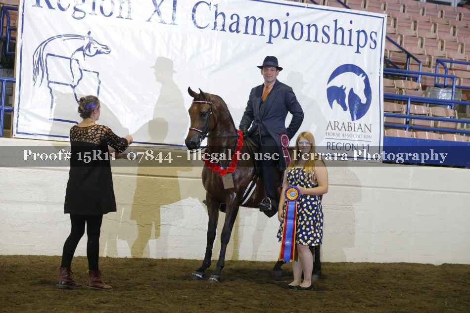 Proof Number 15R11_07844