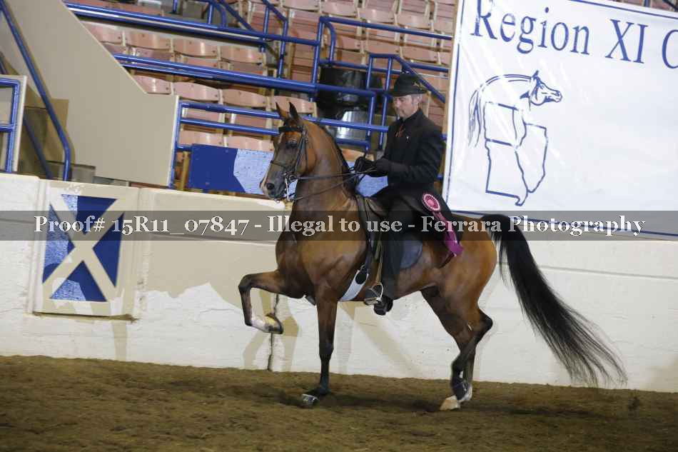 Proof Number 15R11_07847