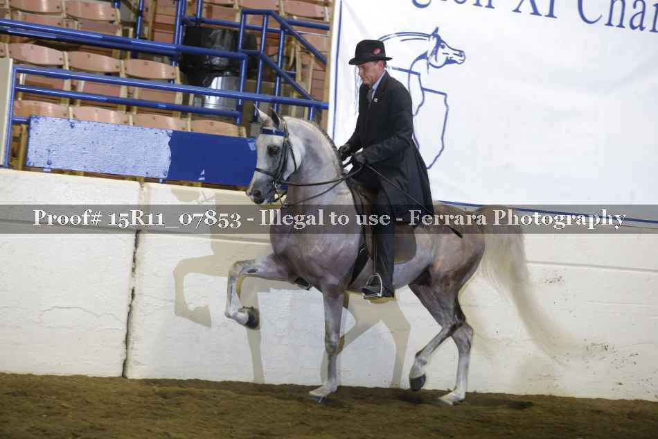 Proof Number 15R11_07853