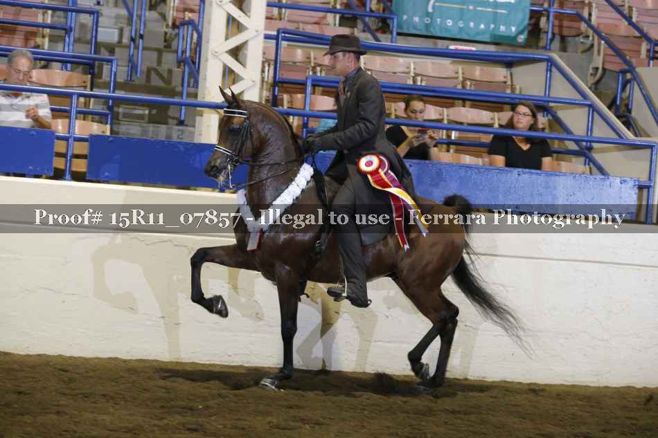 Proof Number 15R11_07857