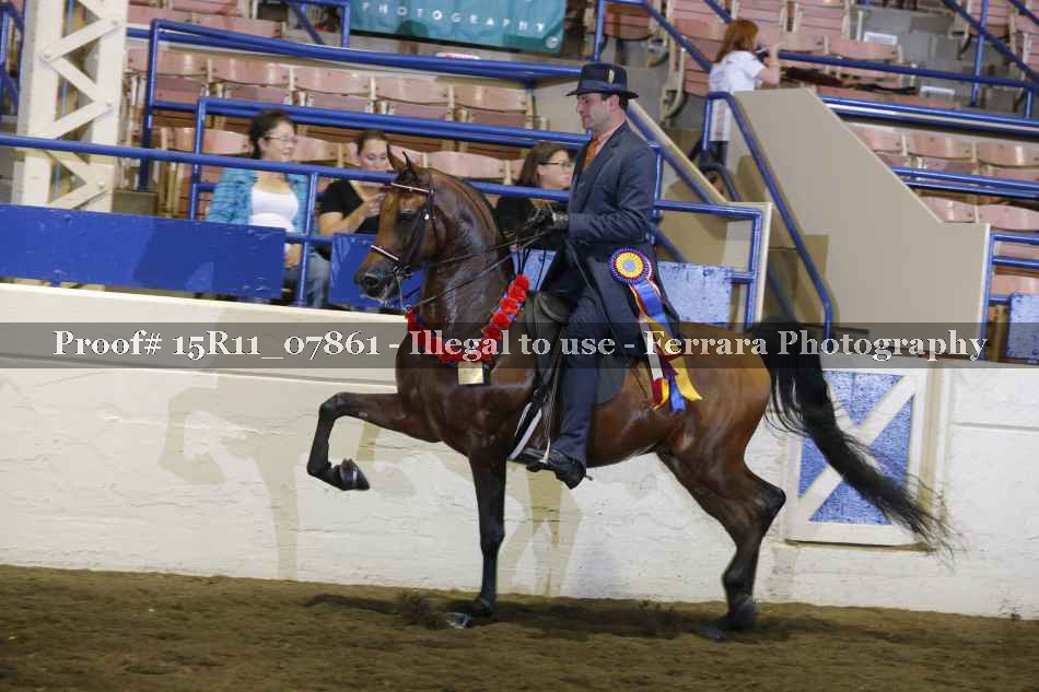 Proof Number 15R11_07861
