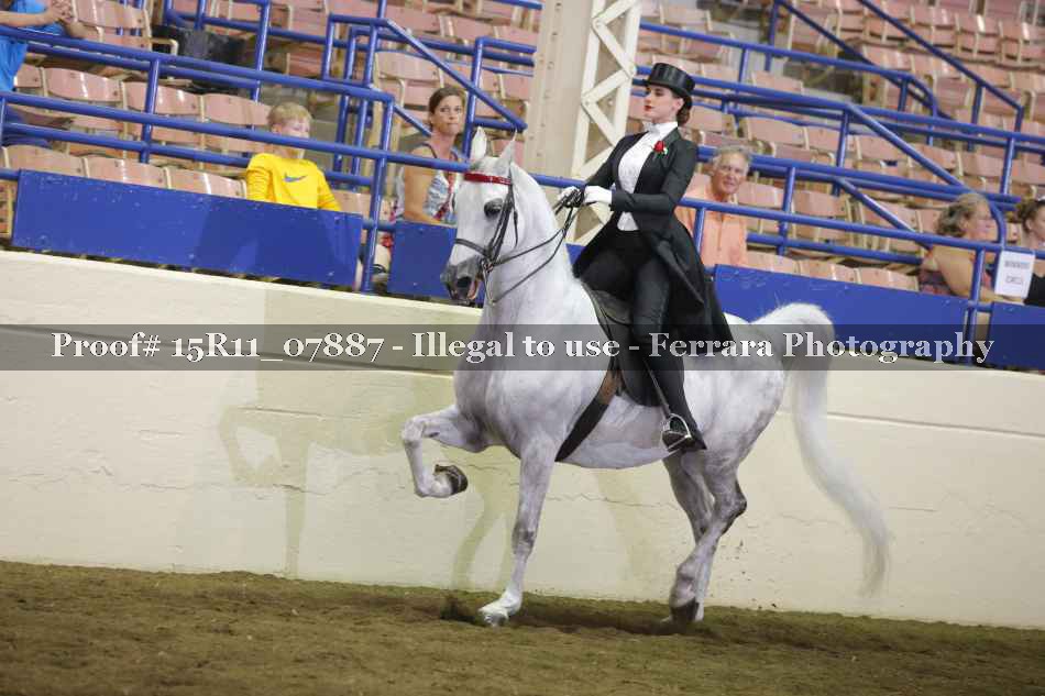 Proof Number 15R11_07887