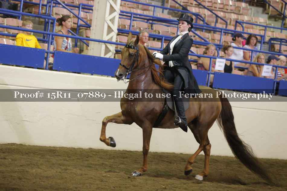 Proof Number 15R11_07889