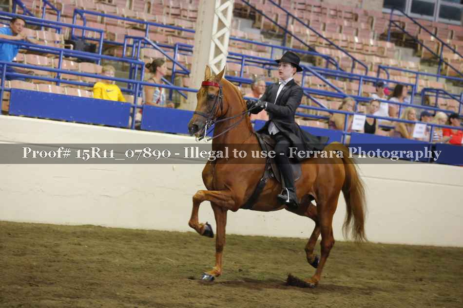Proof Number 15R11_07890