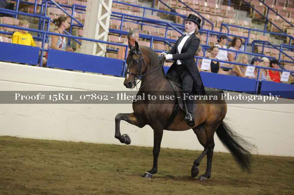 Proof Number 15R11_07892