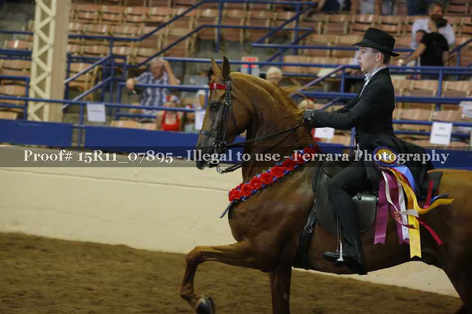Proof Number 15R11_07895