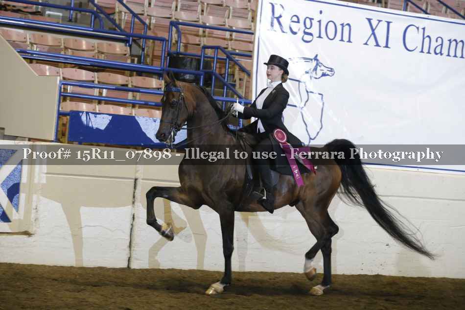 Proof Number 15R11_07898