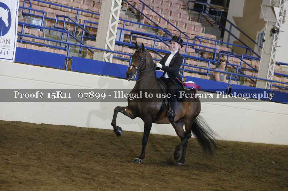 Proof Number 15R11_07899