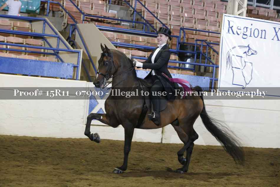 Proof Number 15R11_07900