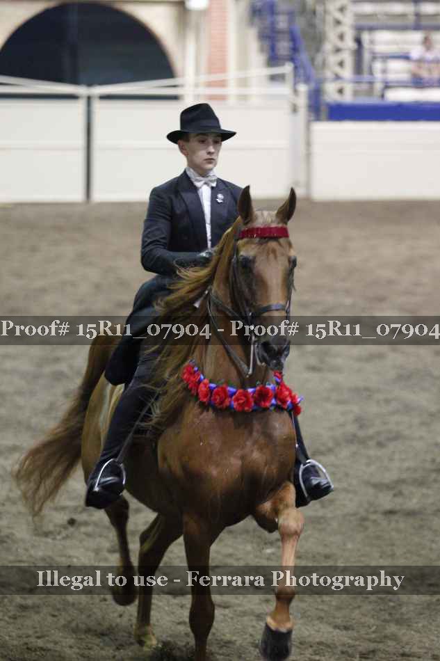Proof Number 15R11_07904