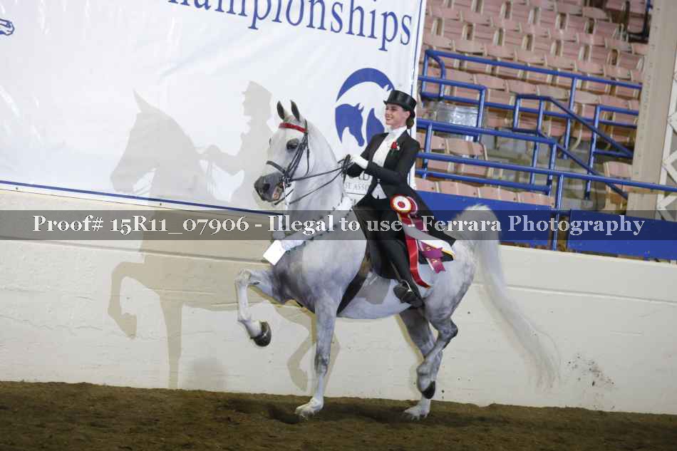 Proof Number 15R11_07906
