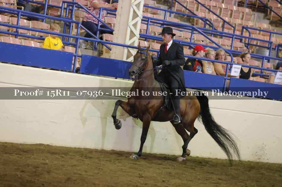 Proof Number 15R11_07936