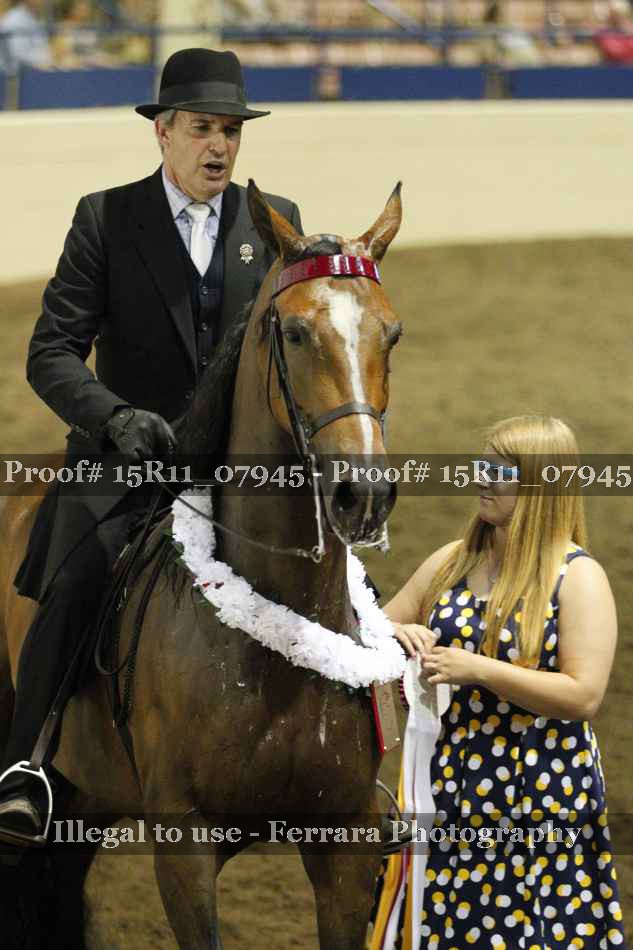 Proof Number 15R11_07945