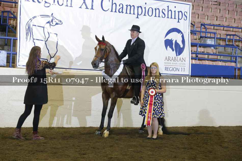 Proof Number 15R11_07947