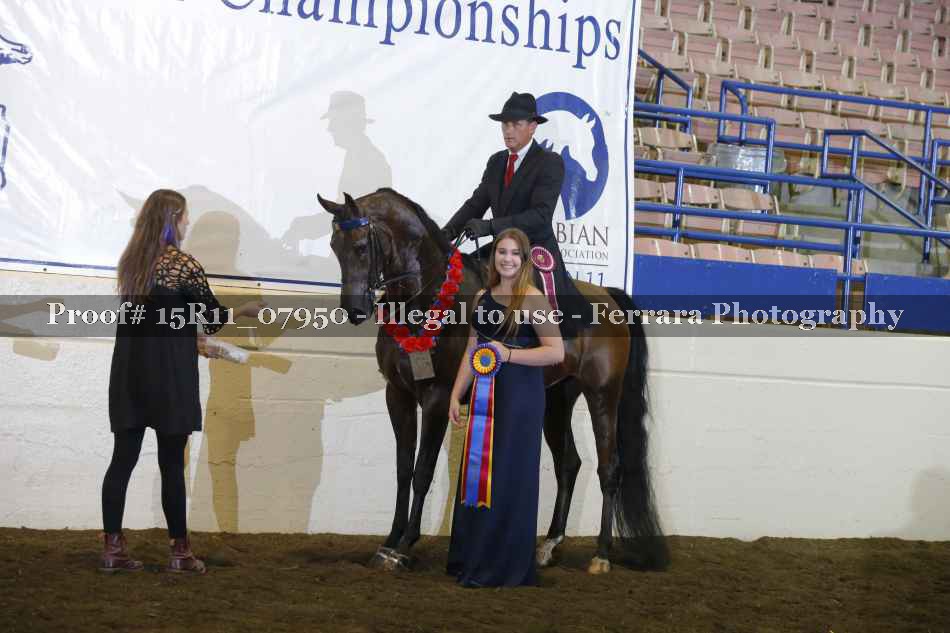 Proof Number 15R11_07950