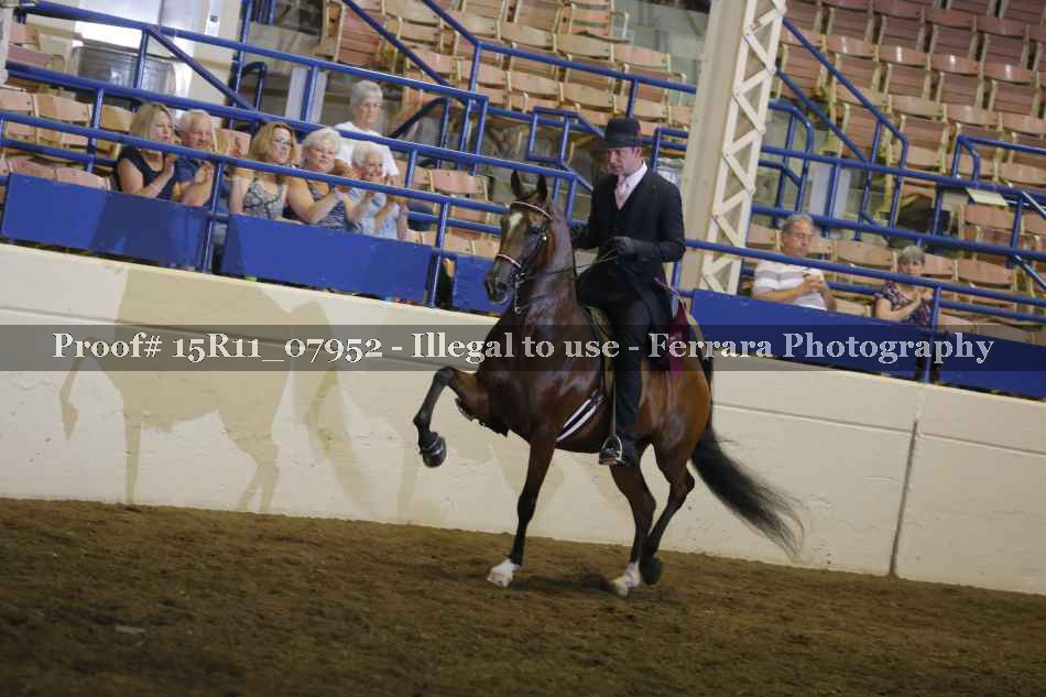 Proof Number 15R11_07952