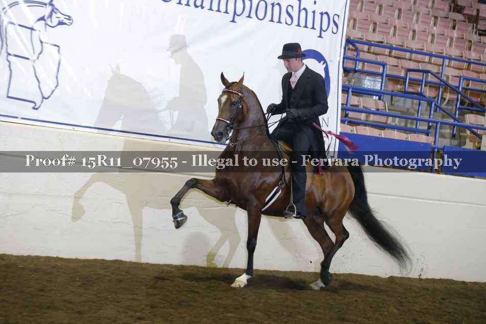 Proof Number 15R11_07955