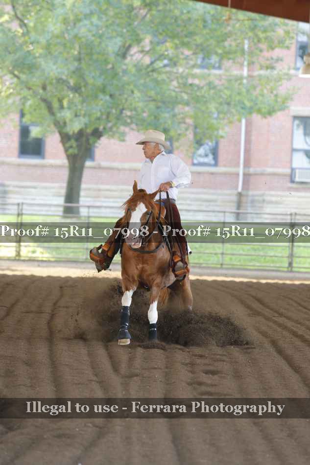 Proof Number 15R11_07998