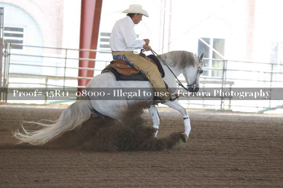 Proof Number 15R11_08000