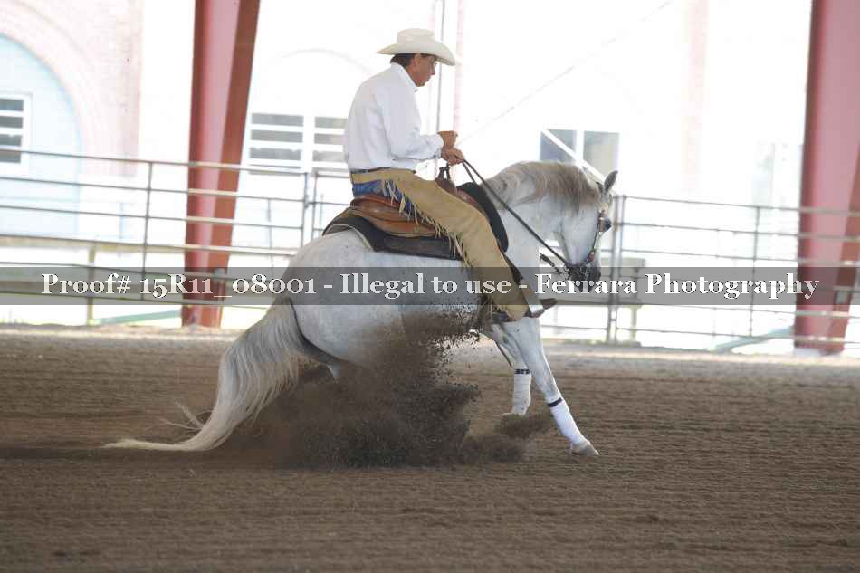 Proof Number 15R11_08001