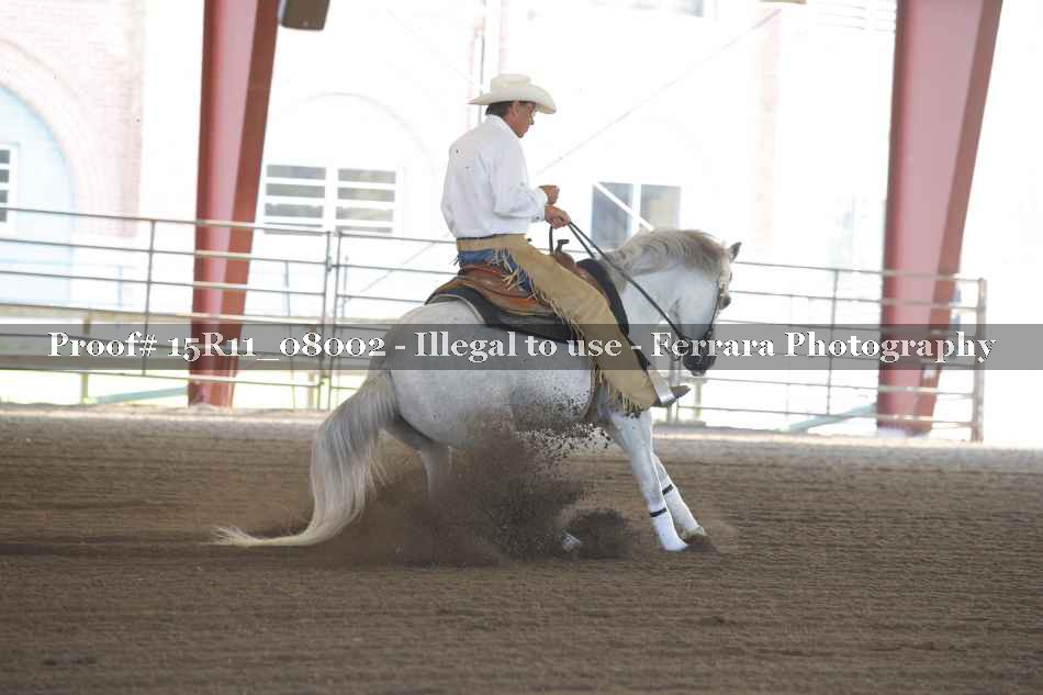 Proof Number 15R11_08002