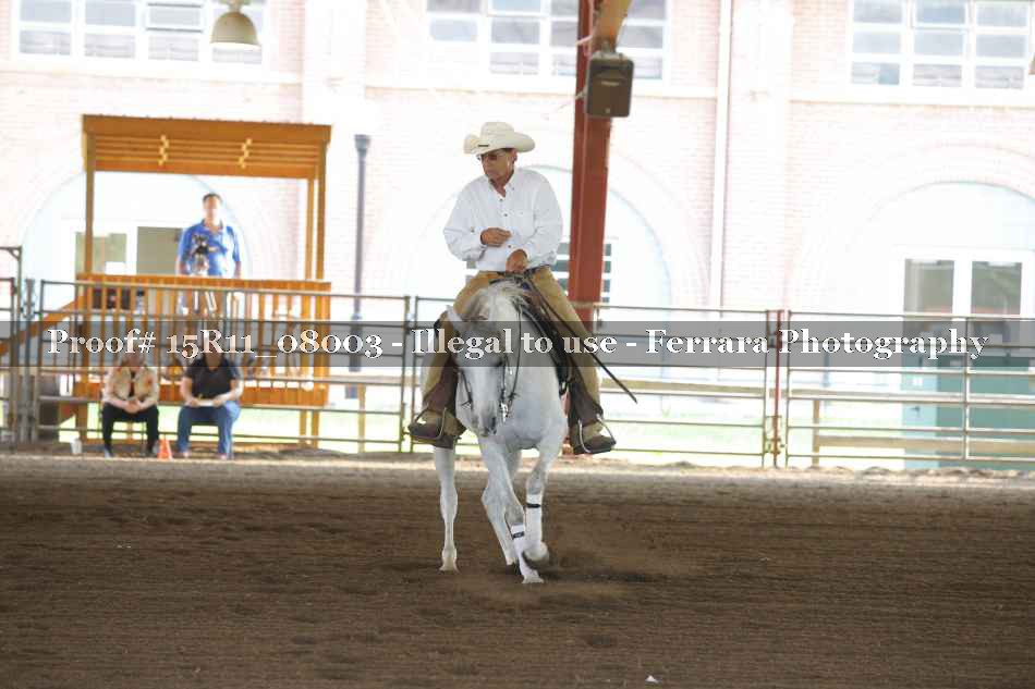Proof Number 15R11_08003