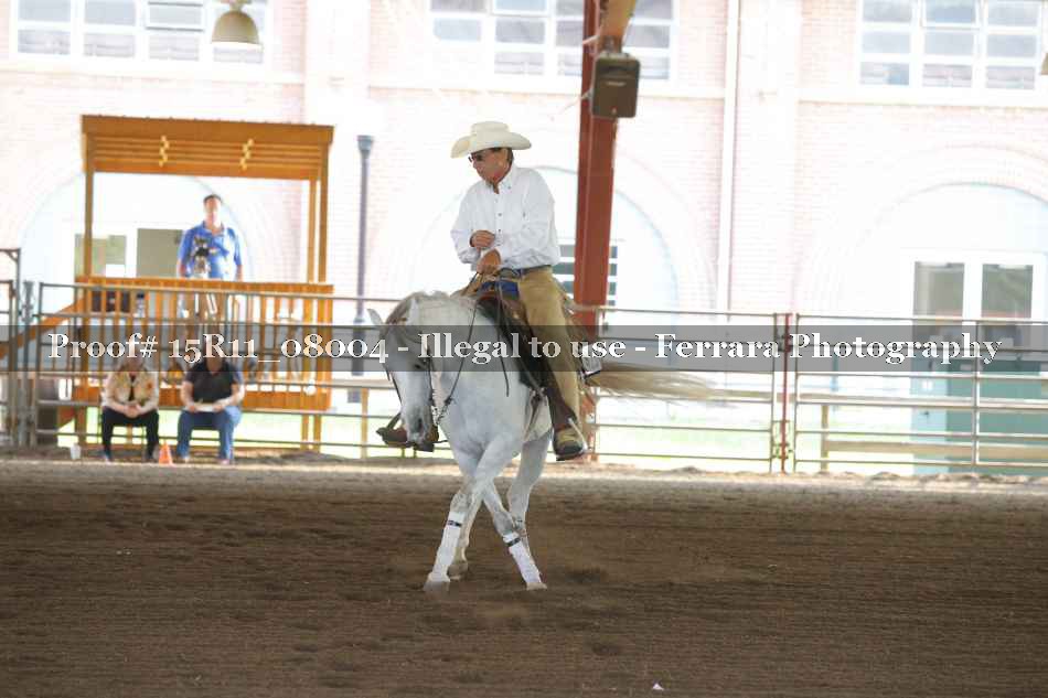Proof Number 15R11_08004