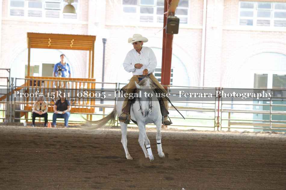 Proof Number 15R11_08005
