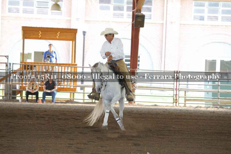 Proof Number 15R11_08006