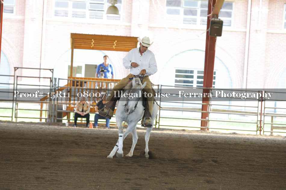 Proof Number 15R11_08007