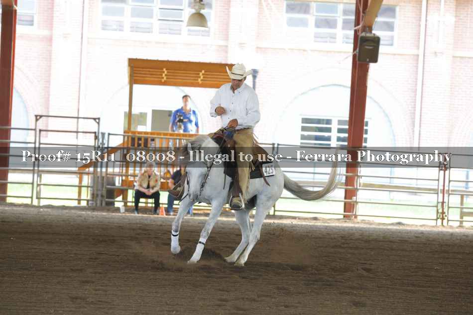 Proof Number 15R11_08008