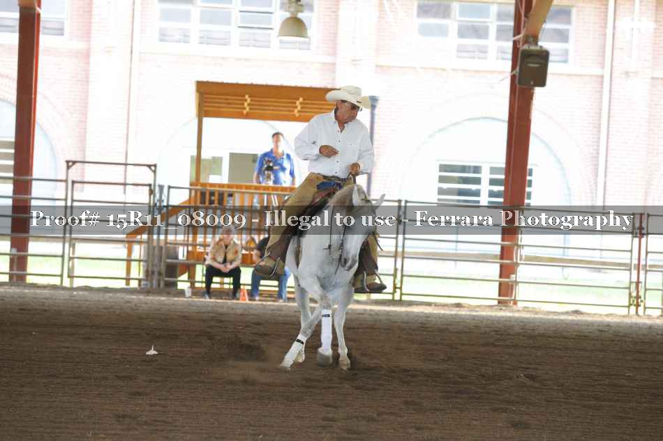 Proof Number 15R11_08009