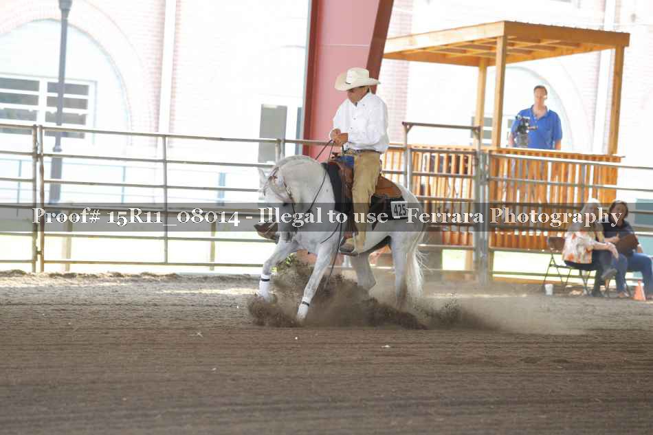 Proof Number 15R11_08014