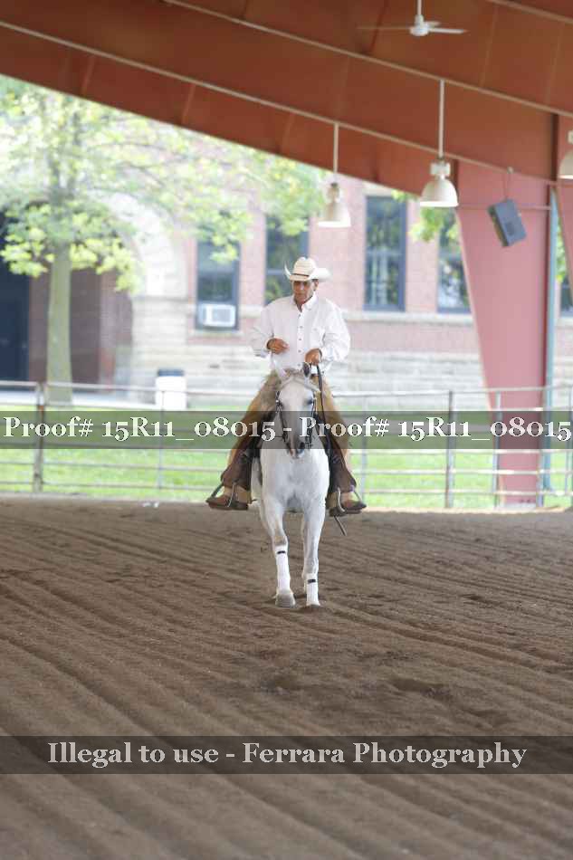 Proof Number 15R11_08015