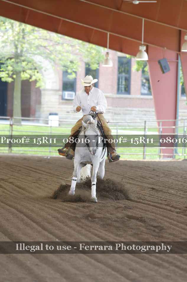 Proof Number 15R11_08016
