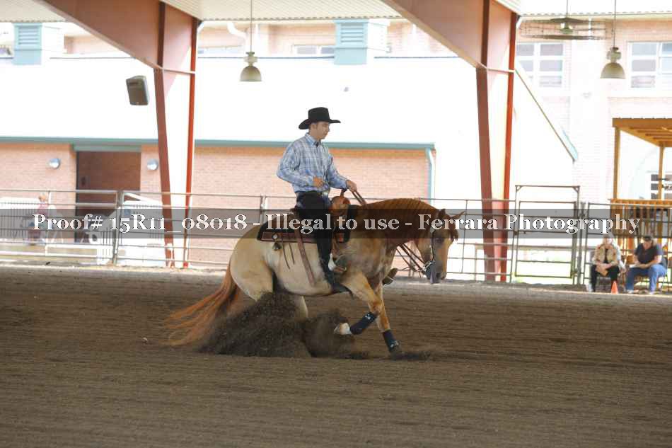 Proof Number 15R11_08018