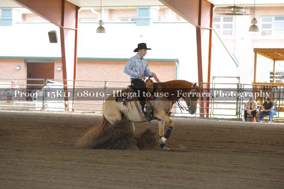 Proof Number 15R11_08019