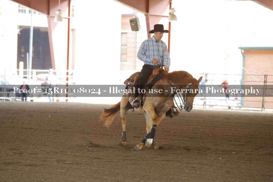 Proof Number 15R11_08024