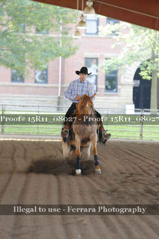 Proof Number 15R11_08027