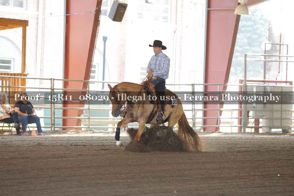 Proof Number 15R11_08029