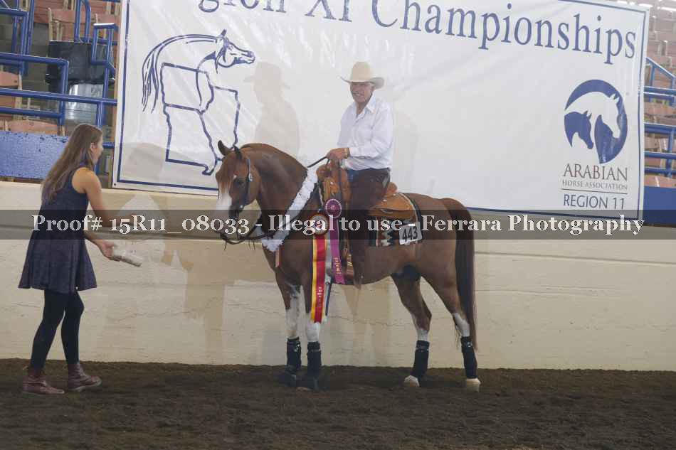 Proof Number 15R11_08033