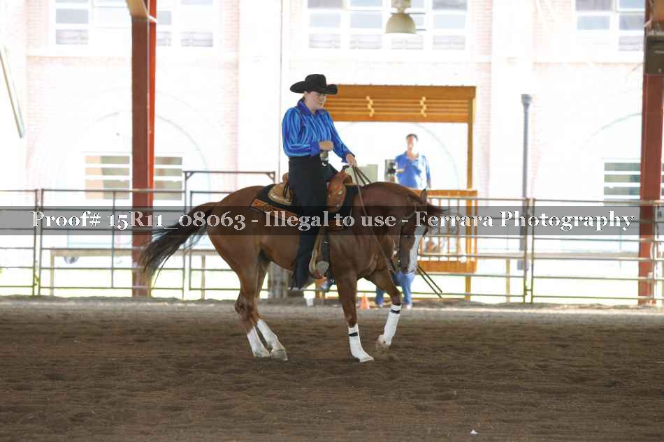 Proof Number 15R11_08063