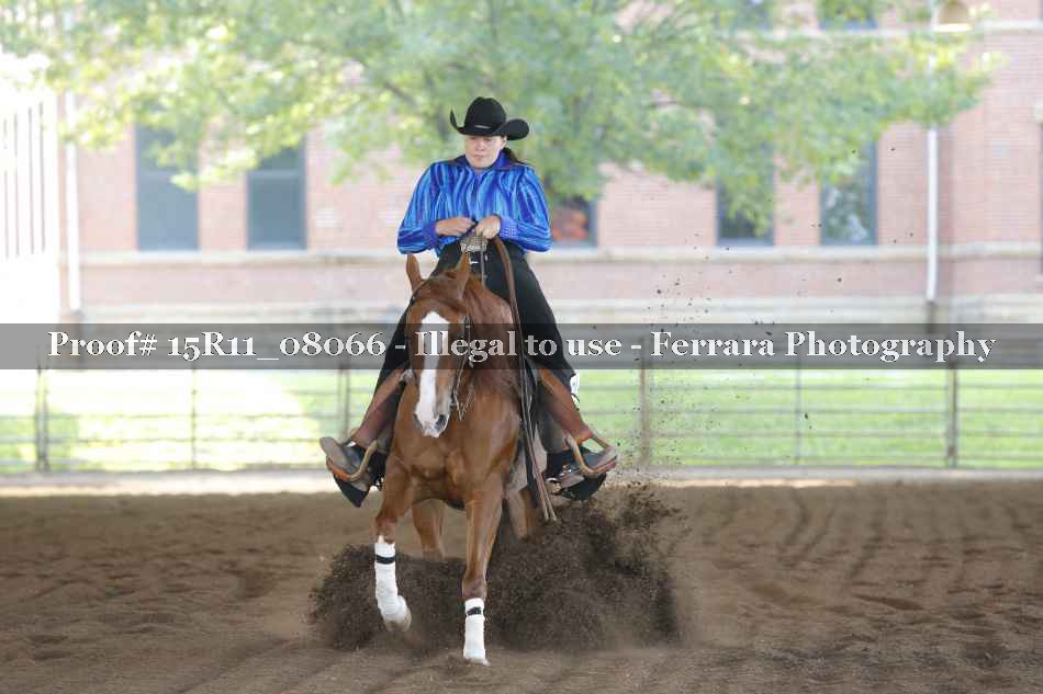 Proof Number 15R11_08066