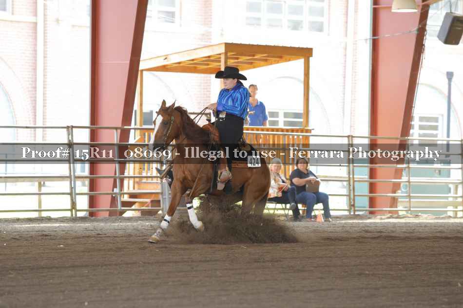 Proof Number 15R11_08069